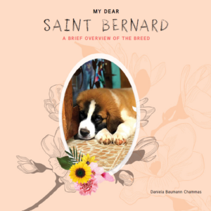 My Dear Saint Bernard: A Brief Overview of the Breed